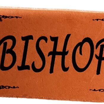 Leather Buckle Insert