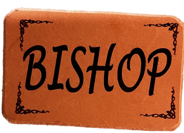 Leather Buckle Insert