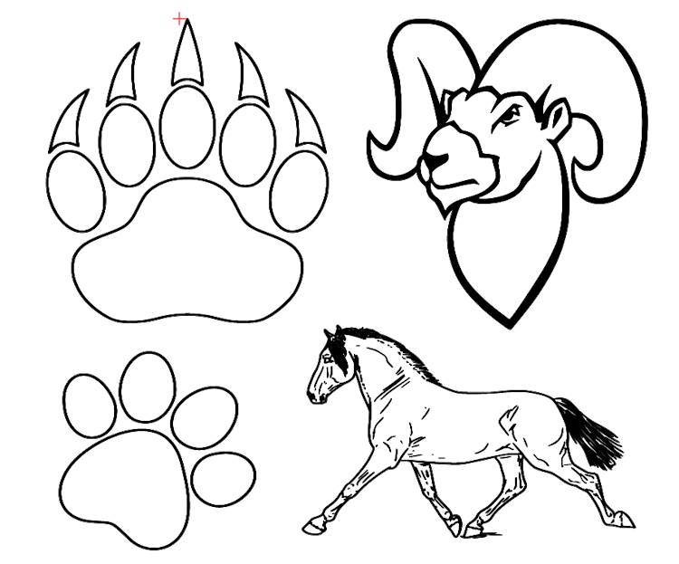 Animal Graphics - Pt. 1